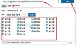 如何下载网站视频,网站视频下载全攻略